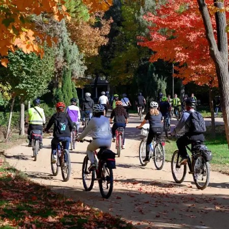 دوچرخه سواری در تهران