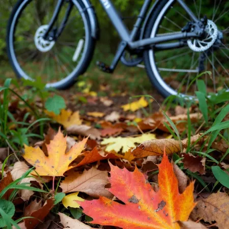 دوچرخه سواری در تهران