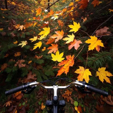 دوچرخه سواری در تهران